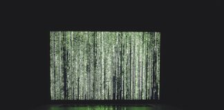 Jakie są rodzaje algorytmów?