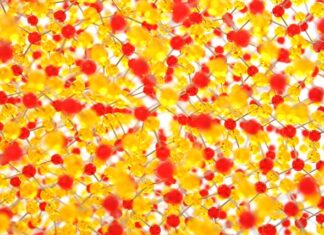 Co to jest krzyżowanie losowe?