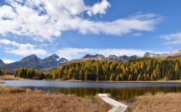 Jaka jest różnica między stażem a praktyka?