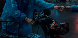 Czym się różni dostawca od kuriera?