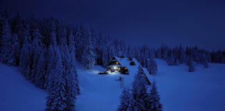 Jaki jest cel targów?